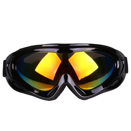 Ski Goggles